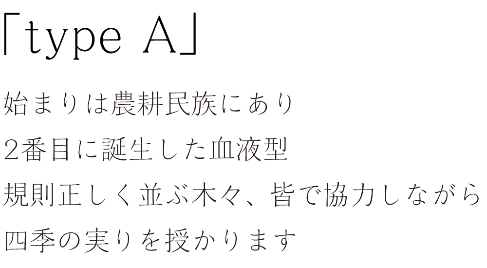 「typeA」始まりは農耕民族にあり。2番目に誕生した血液型。規則正しく並ぶ木々、皆で協力しながら四季の実りを授かります