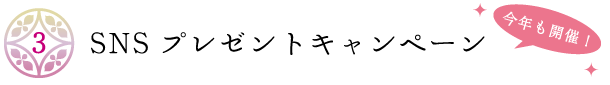 SNSプレゼントキャンペーン