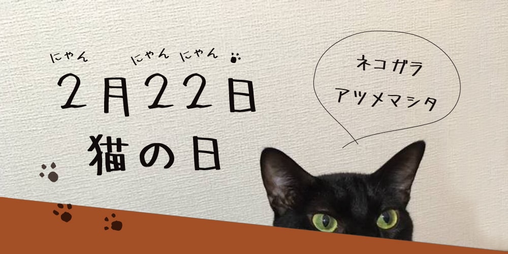 2/22　猫の日　ネコバナー　JIKAN STYLE